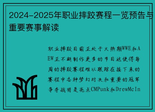 2024-2025年职业摔跤赛程一览预告与重要赛事解读